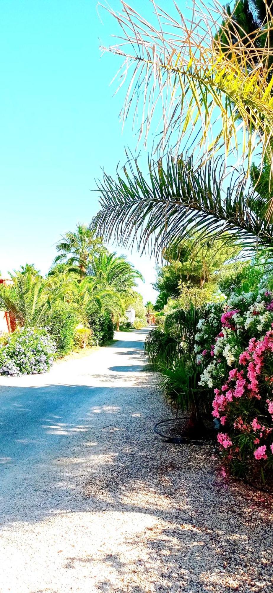 Happymobilhome Argeles-Sur-Mer -Plage A 500M- Camping 4 Etoiles Del Mar Kültér fotó